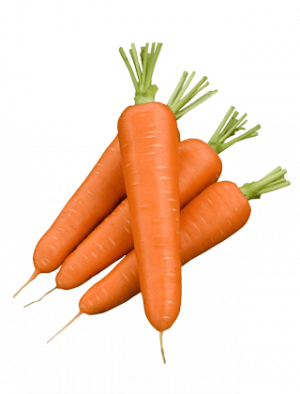 Морква (вага)
