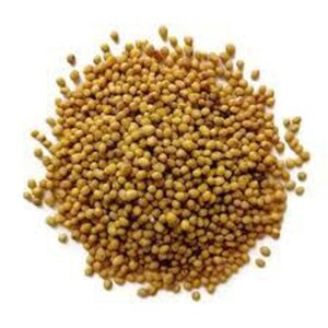 Насіння Гірчиця жовта (сидерат) 1 кг
