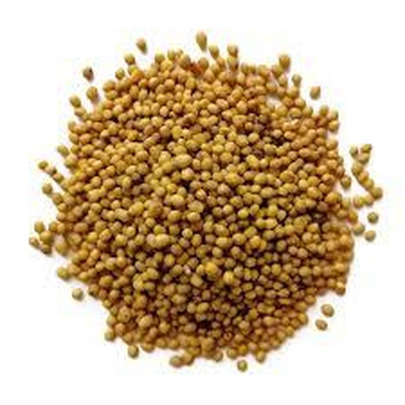 Насіння Гірчиця жовта (сидерат) 1 кг