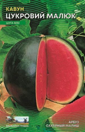 Насіння Кавун Цукровий малюк (5 г.)