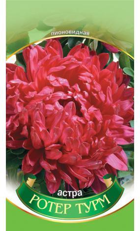 Насіння Айстра Роте турм (малий)