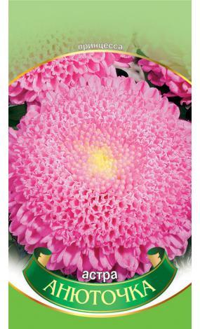 Насіння Айстра Анюточка (малий)