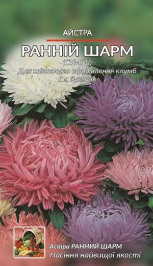 Насіння Айстра Ранній шарм (1 г.)
