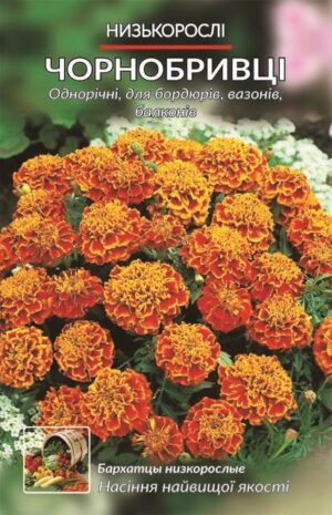 Насіння Чорнобривці низькорослі червоні (2 г.)