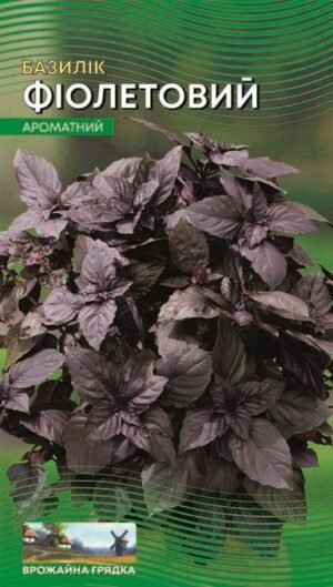 Насіння Базилік Фіолетовий (Врожайна грядка) - 2 г.