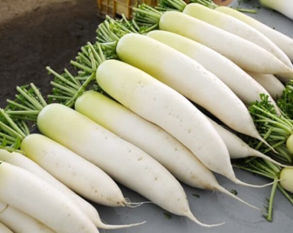 Насіння Дайкон Білий клик (вага від 100 г.)