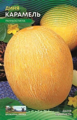 Насіння Диня Карамель (Врожайна грядка) - 5 г.