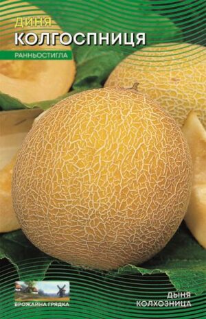 Насіння Диня Колгоспниця (3 г.) Врожайна грядка