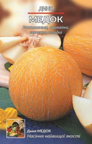 Насіння Диня Медок (Врожайна грядка) - 7 г.