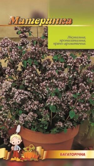 Насіння Материнка (малий)