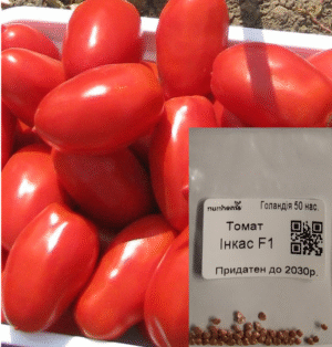 Насіння Томат Інкас F1 (Детермінант., червоний, сливовидний) (голландія) - 50 нас