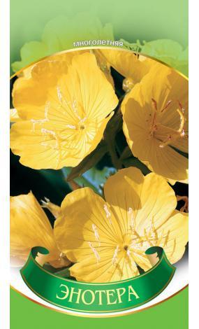Насіння Енотера (малий)