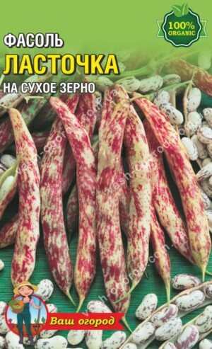 Насіння Квасоля Ластівка (15-20 шт. семян)