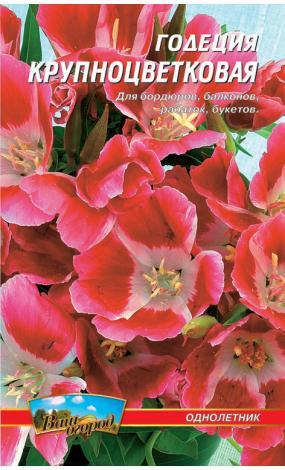 Насіння Годеція (малий)