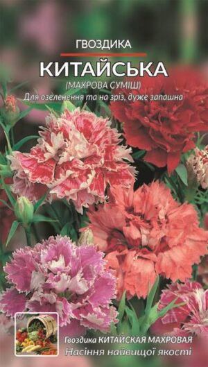 Насіння Гвоздика китайська махрова (малий)