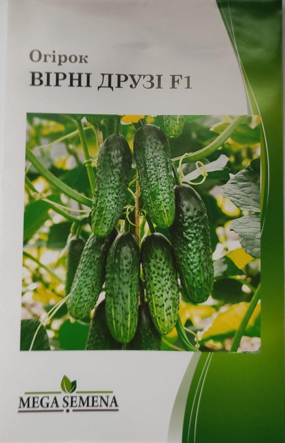 Насіння Огірок Вірні друзі F1 (1 г.)