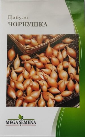 Насіння Цибуля Чорнушка жовта ( 5 г.)