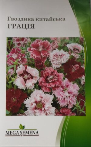 Насіння Гвоздика Китайська Грація (600-700 шт. семян)
