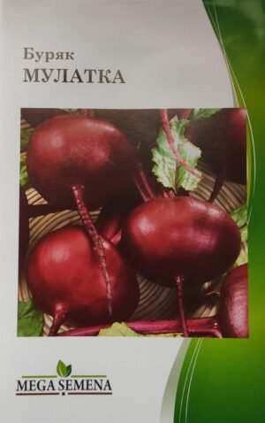 Насіння Буряк Мулатка (5 г.)