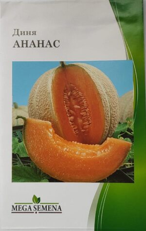 Насіння Диня Ананас (Мега семена) - 7 г.