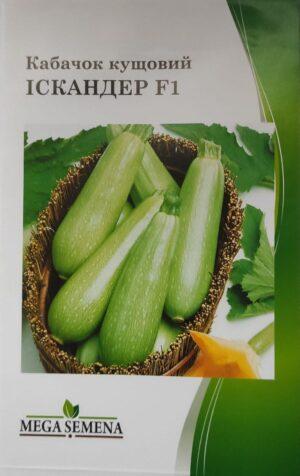 Насіння Кабачок Іскандер F1 (5 г.)