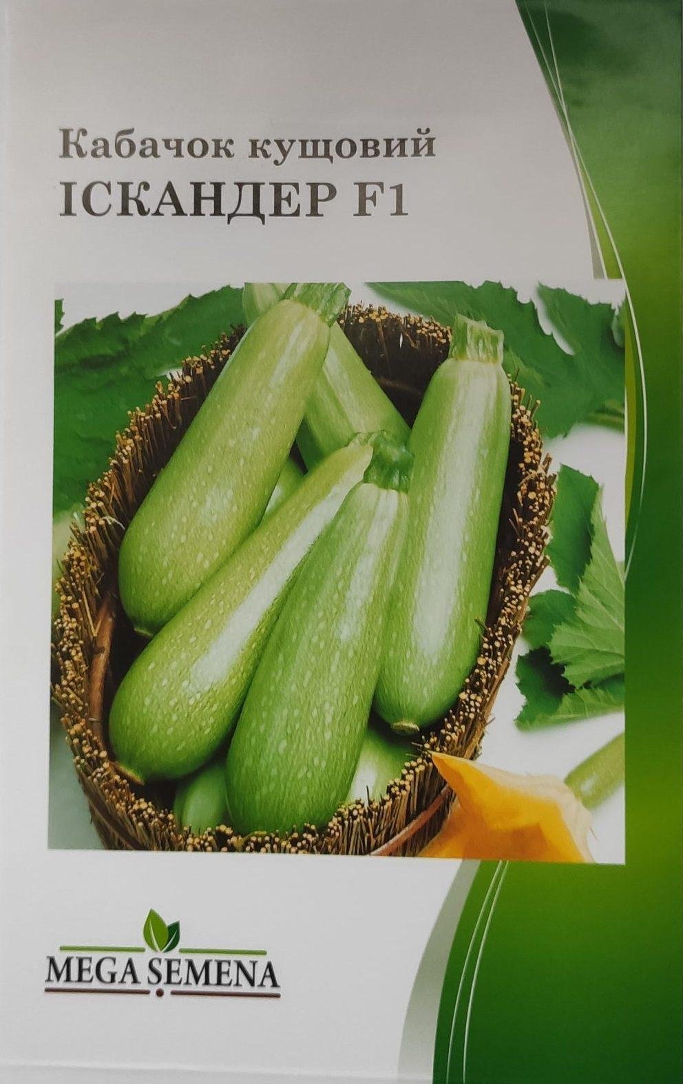 Насіння Кабачок Іскандер F1 (5 г.)