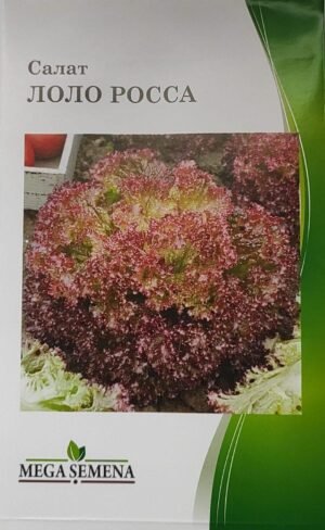 Насіння Салат Лола Роса 3 г.