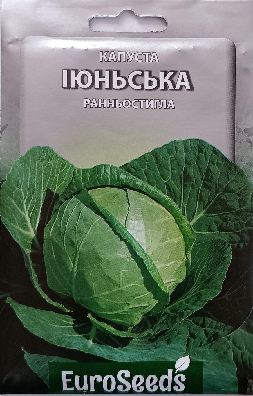 Насіння Капуста Іюньська (EuroSeeds) - 2 г.