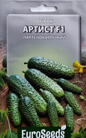 Насіння Огірок Артист F1 (EuroSeeds) - 2 г.