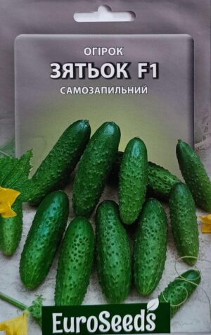 Насіння Огірок Зятек F1 (EuroSeeds) - 2 г.