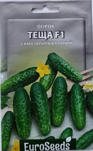 Насіння Огірок Теща F1 (EuroSeeds) - 2 г.