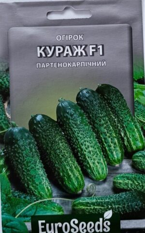 Насіння Огірок Кураж F1 (EuroSeeds) - 2 г.