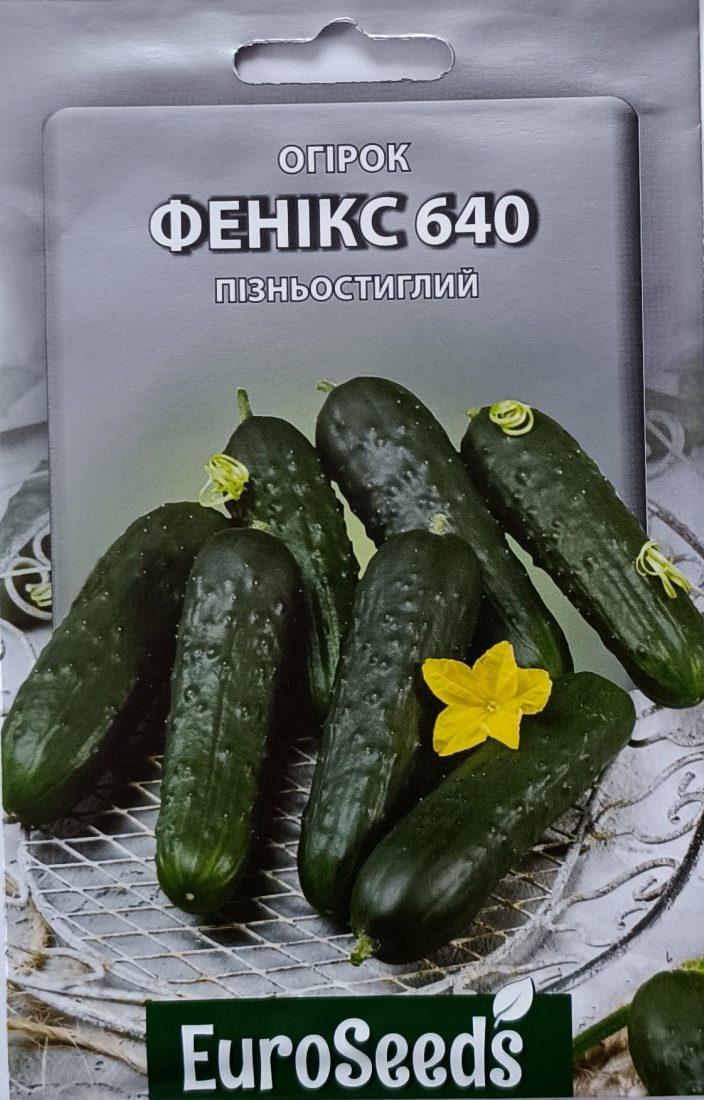 Насіння Огірок Фенікс 640 (EuroSeeds) - 2 г.