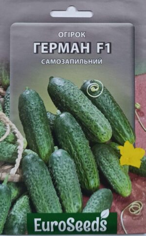 Насіння Огірок Герман F1 (EuroSeeds) - 2 г.