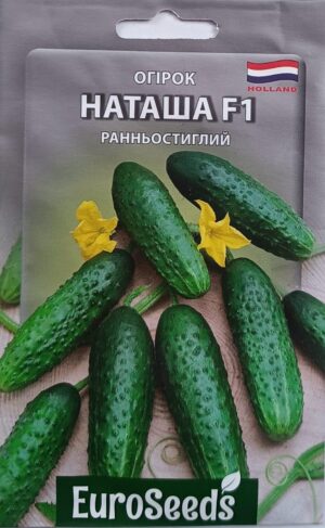 Насіння Огірок Наташа F1 (EuroSeeds) - 2 г.