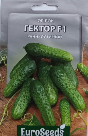 Насіння Огірок Гектор F1 (EuroSeeds) - 2 г.