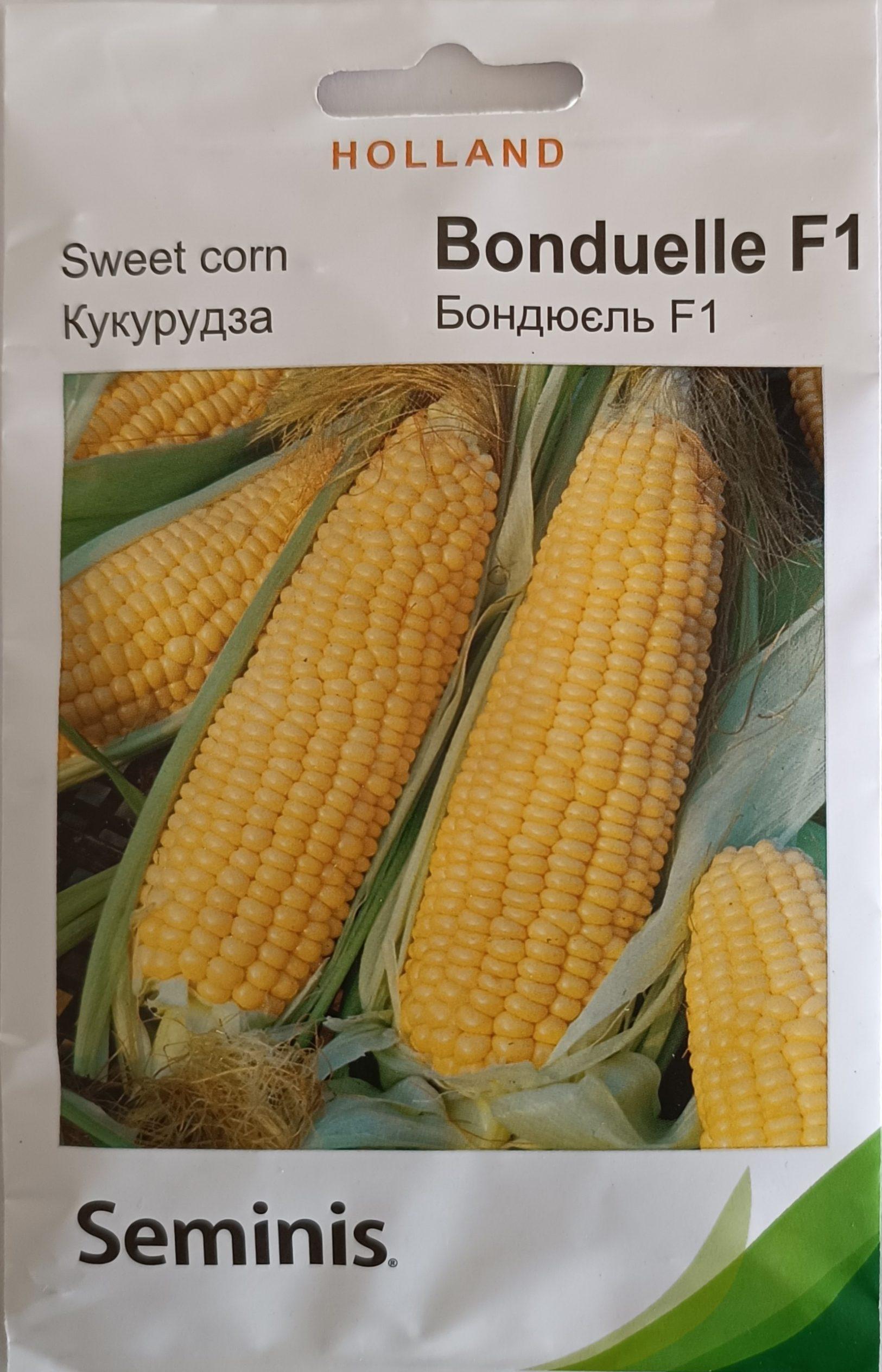 Насіння Кукурудза Бондюель F1 (7 г.) голлан.
