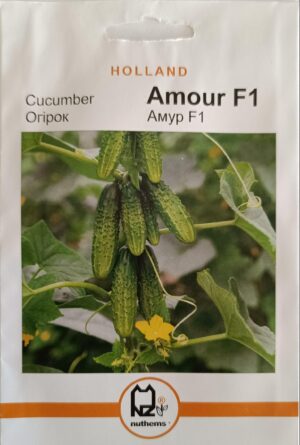 Насіння Огірок Амур F1 (1 г.) голлан.