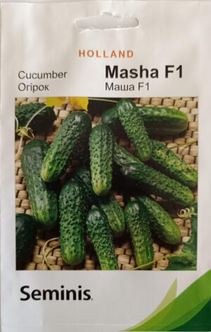 Насіння Огірок Маша F1 (1 г.) голлан.
