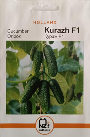 Насіння Огірок Кураж F1 (1 г.) голлан.