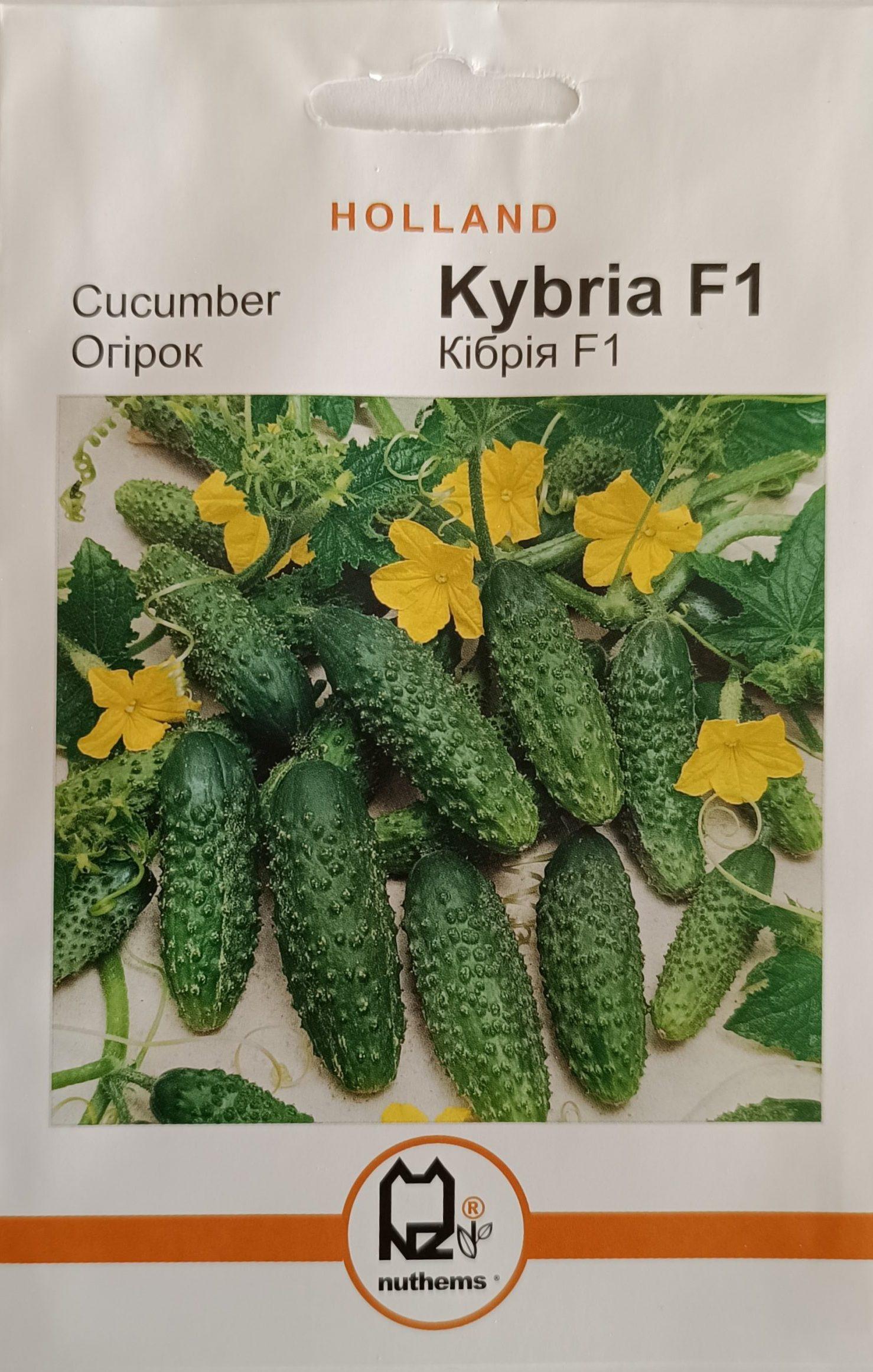 Насіння Огірок Кібрія F1 (1 г.) голлан.