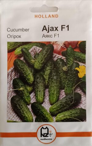 Насіння Огірок Аякс F1 (1 г.) голлан.