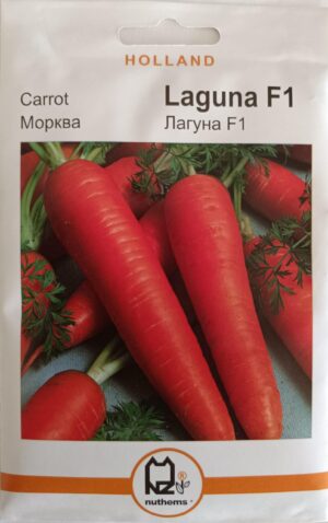 Насіння Морква Лагуна F1 (3 г.) голлан.