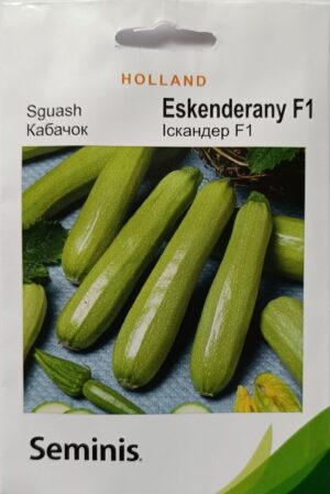 Насіння Кабачок Іскандер F1 (3 г.) голлан.