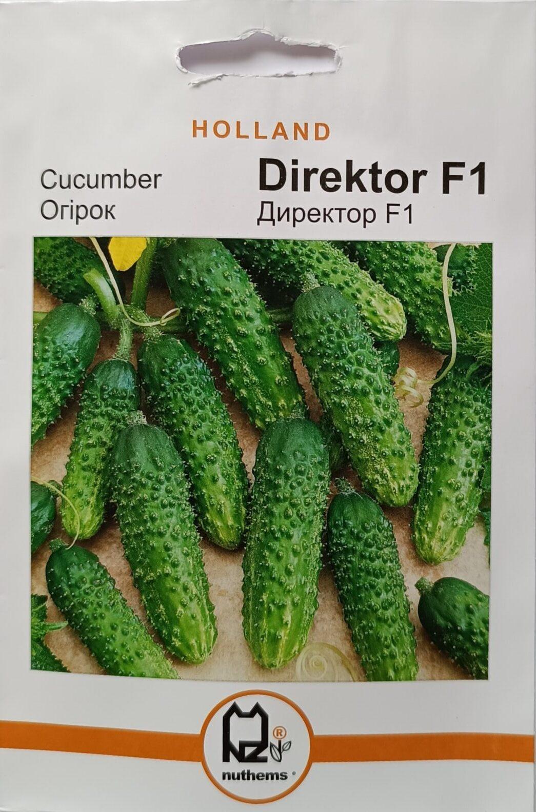 Насіння Огірок Директор F1 (1 г.) голлан.