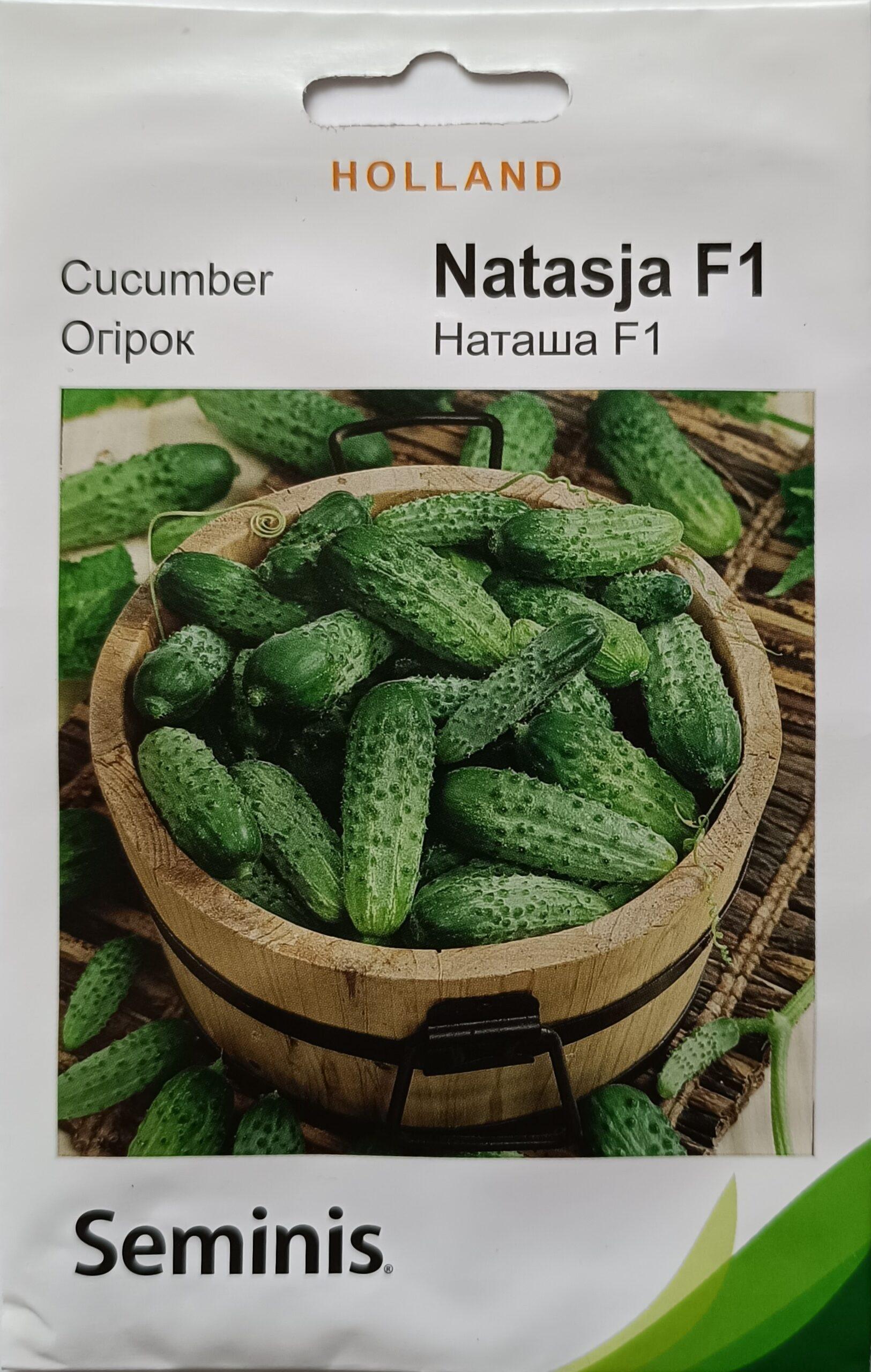 Насіння Огірок Наташа F1 (1 г.) голлан.