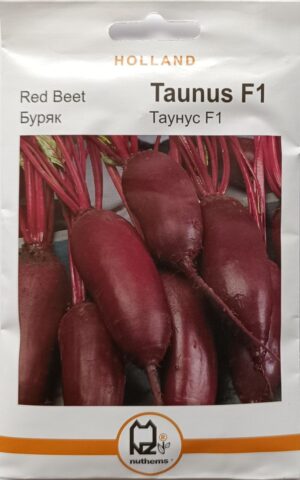 Насіння Буряк Таунус F1 (5 г.) голлан.