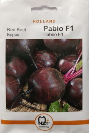 Насіння Буряк Пабло F1 (5 г.) голлан.