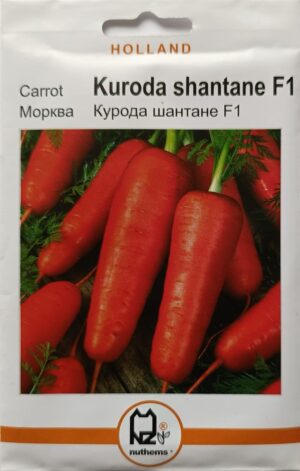 Насіння Морква Курода Шантане F1 (3 г.) голлан.