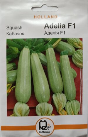 Насіння Кабачок Аделія F1 (2 г.) голлан.
